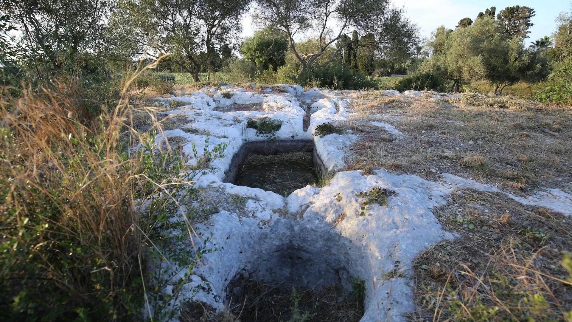 Villa Dei Papiri Fonte Ciane Syracuse 0*,  Italy